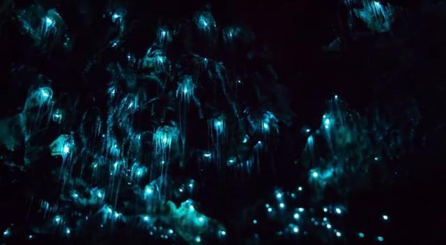 Svetlost čudesnog: Fluorescentna pećina na Novom Zelandu